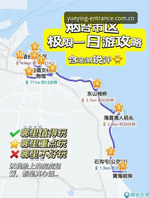 悦盈体育新版网页登录避坑指南：老玩家的实操教程与门道解析